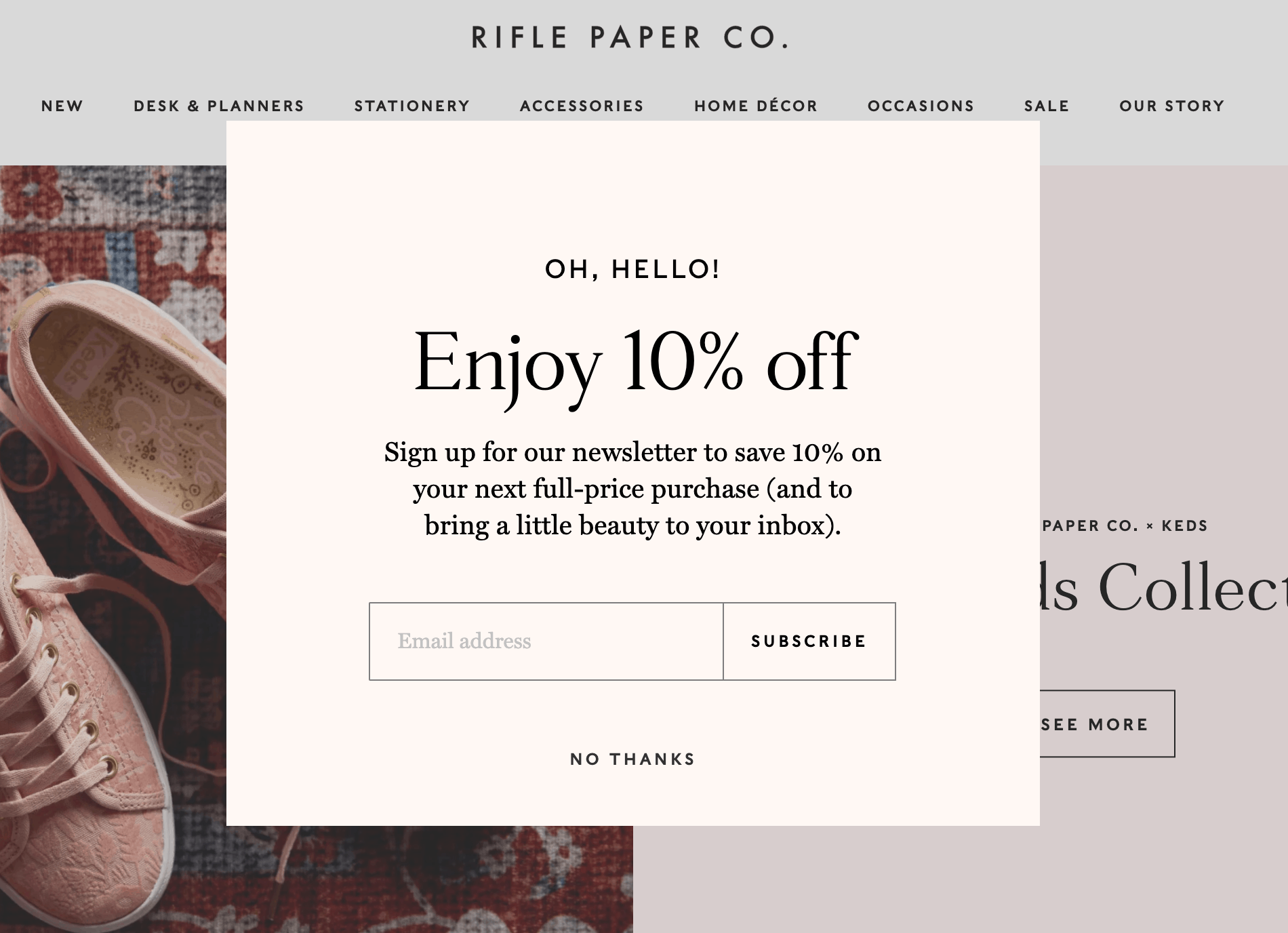 Rifle Paper Co has a super neat lead magnet. They offer a discount code that you can use immediately if you sign up to their newsletter! 
